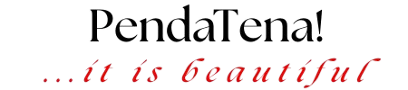 PendaTena logo